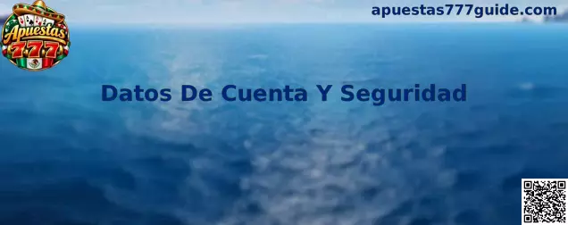 Guía de Datos De Cuenta Y Seguridad para proteger una cuenta digital