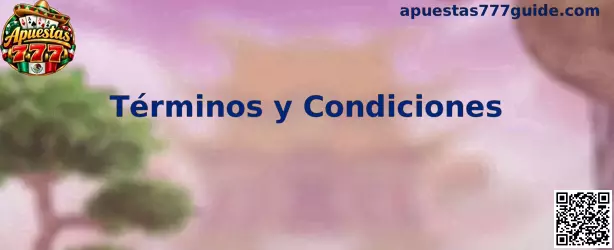Información sobre los Términos y Condiciones de Apuestas 777